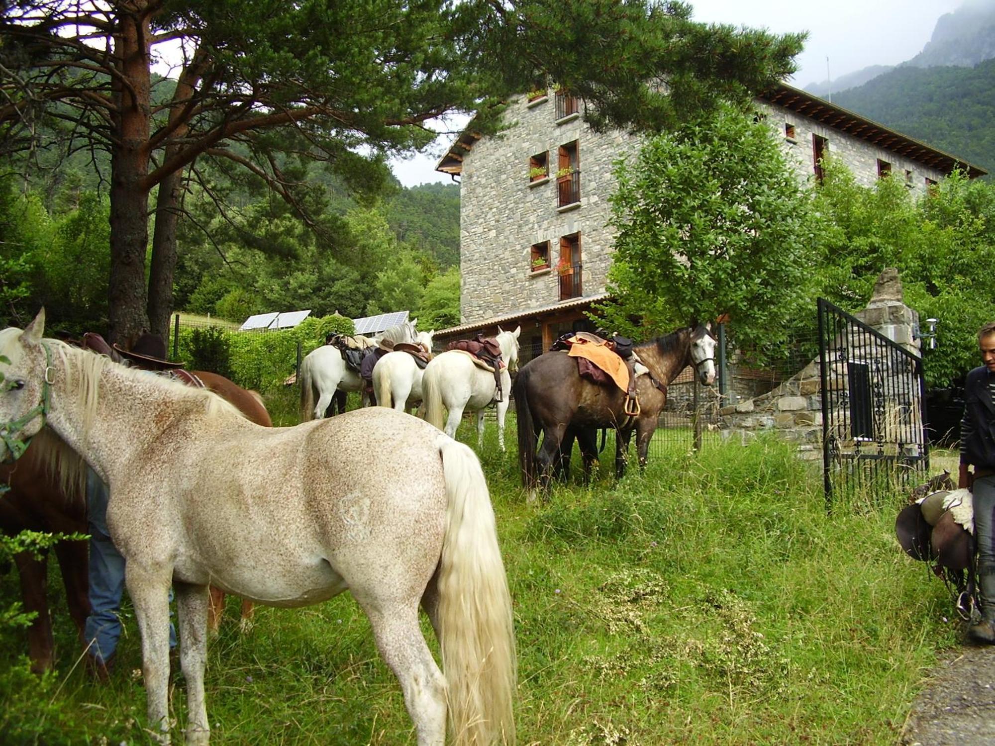 הצ'ו Hotel De Montana Uson מראה חיצוני תמונה